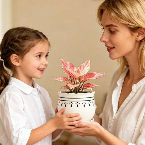 Vintage Flower Pots for Indoor Plant, Round Ceramic Plant Pots with Drainage Holes and Saucers, 6.7/5.2/3.9 Inches Retro Flower Planters Set of 3 - Image 6