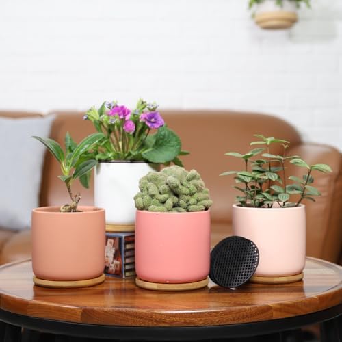 4" Ceramic Plant Pots with Drainage Holes & Trays Multicolor Set of 4 - Image 5