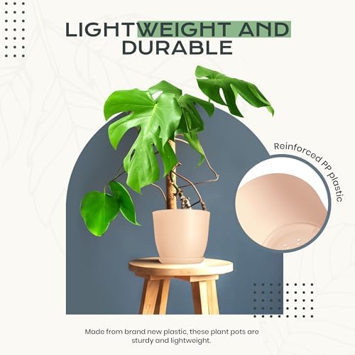 Plant Pots Indoor with Drainage, 10 Pack Multi-Size Planters Set, Pink - Image 6