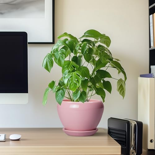 Ceramicfor 6 Inch Plant Pot - Ceramic Pot for Indoor Plants, Glaze Modern Decorative Round Ceramic Planter with Drainage Hole and Saucer, Plant Lover Gifts, Home Garden Room Office Decor, Pink - Image 7