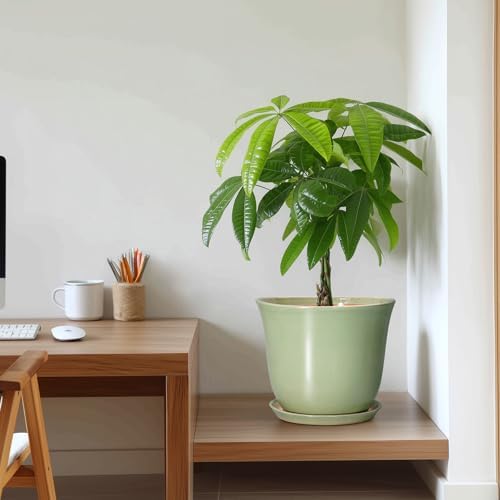 Ceramic Pots for Plants - 10 Inch Planter with Drainage Hole and Tray, Round Large Planter for Indoor Plant Outdoor, Modern Flower Pot, Garden Office Home Decor, Gift for Plant Lover, Green - Image 7