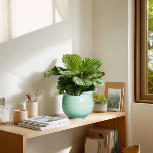 6 Inch African Violet Pots, Ceramic Self Watering Planter with Absorbent Inner Pot, Round Pots for Indoor Plants Outdoor, Ceramic Flower Pot, Office Decor, Plant Lover Gifts, Mint Green - Image 7