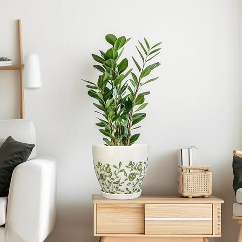 MPotTo Ceramic Planter - 8.2 Inch Plant Pot for Indoor Outdoor Plants, Boho Round Ceramic Flower Pot with Drainage Hole and Saucer, Gifts for Plant Lovers, Home Garden Apartment Decor, White - Image 6