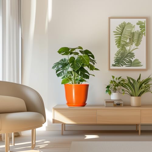 Ceramic Planter - 8 Inch Plant Pot with Drainage Hole and Saucer, Modern Planters for Indoor Outdoor Plants, Round Flower Pot, Home Patio Office Decor, House Warming Gifts, Orange - Image 7