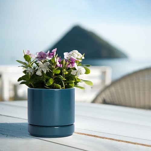 D'vine Dev 2-Pack Ceramic Pots with Saucers, Teal, 4.7 in, 94-V-B-9 - Image 6