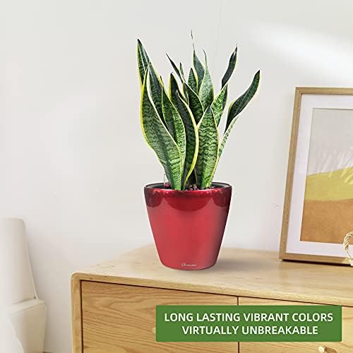 Dexceder 9x8 Self Watering Planter (Red High Gloss) - Image 6