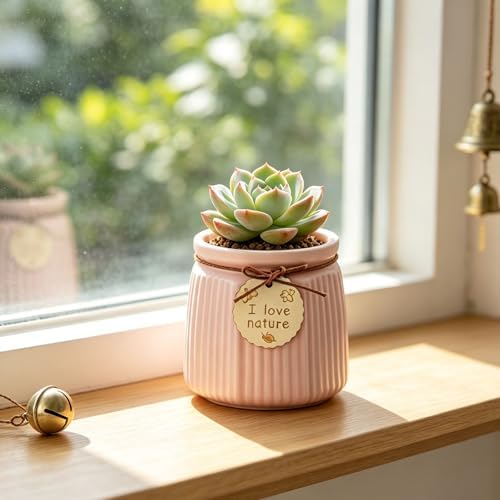 Pastel Ceramic Succulent Pots, Small Mini Flower Planter Pots with Jute Tag, Decorative Indoor Cactus Plant Container for Home Windowsill Desktop Decor (Pink) - Image 6