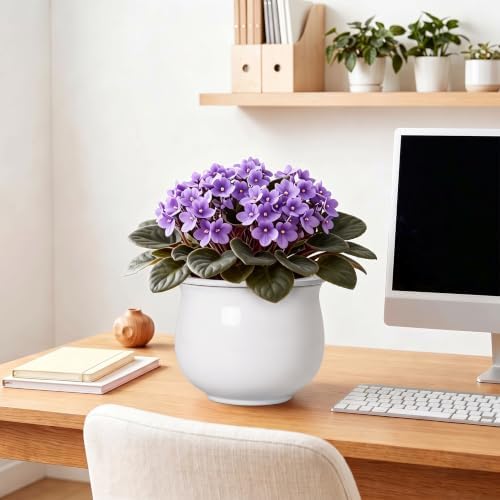 Ceramic African Violet Pot, 8 Inch Self Watering Planter, White - Image 7