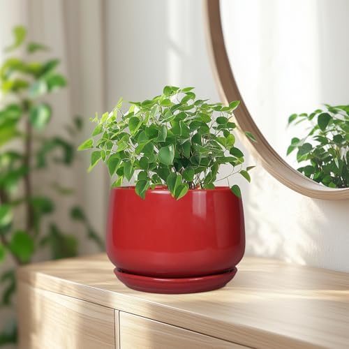 G EPGardening Ceramic Planter 7 Inch - Flower Pots for Indoor Plants, Round Planter with Drainage and Ceramic Tray, Modern Plant Pot, Bathroom Decor, Teacher Gifts, Red - Image 6