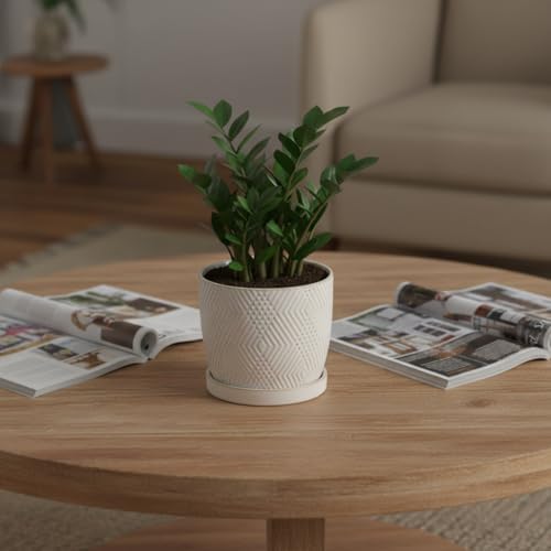 Nihow Ceramic Plant Pots with Drainage Hole & Saucer, 4.75 Inch, White-3 - Image 7