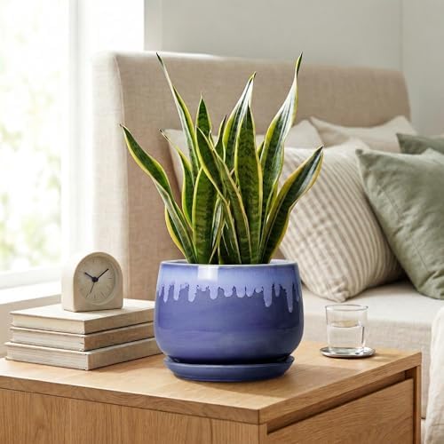 Ceramic Flower Pots, 7 Inch Indoor Planter with Drainage, Blue - Image 7