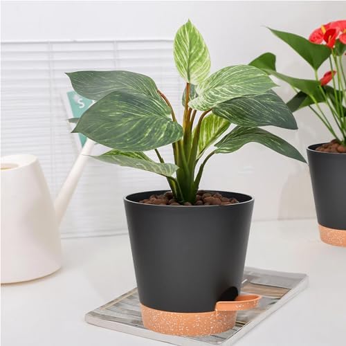 Vanslogreen Planters for Indoor Plants 7/6.5/6/5.5/5 Inch, Self Watering Flower Pots with Drainage Holes and Saucers 5 Pack Plastic Pots for Plants, Succulents, Herbs, Cactus, Flower, Black - Image 7