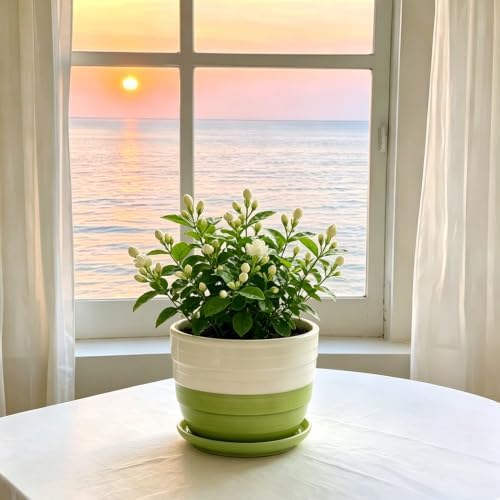 Vintage Flower Pots for Indoor Plant, Round Ceramic Plant Pots with Drainage Holes and Saucers, 6.7/5.2/3.9 Inches Retro Flower Planters Set of 3 - Image 6