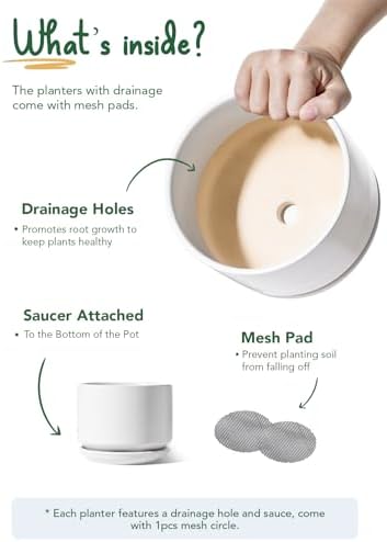 LE TAUCI Ceramic Pots for Plants, 4.3+5.3+6.8 Inch Plant Pots, Indoor Planters with Drainage Hole and Saucer for Succulents, Herbs and Flowers, Set of 3, Satin, White - Image 6