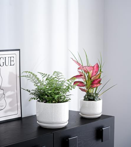 Ceramic Planters,Plant Pots with Saucers Set of 3(Reactive Glaze White) - Image 7