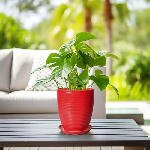 Ceramic Pot for Plants - 8 Inch Plant Pot for Indoor Plants Outdoor Round Planter Modern Flower Pot with Drainage Hole and Saucer Home Garden Office Porch Decor Red - Image 6