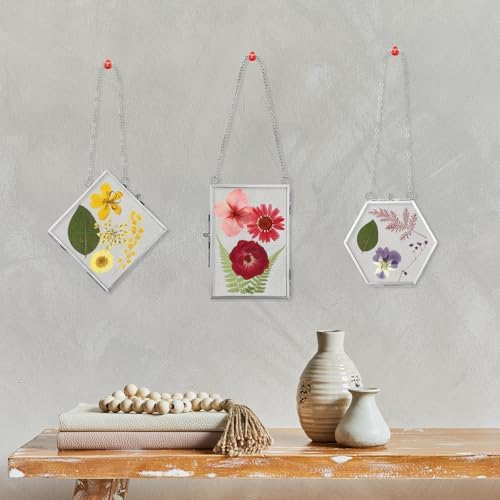 Bucherry 5 Pcs Glass Frame for DIY Pressed Flowers Art Hanging Photo Picture Frame with Chain and 6 Styles Pressed Flowers Collage Glass Craft Frames for Wall Decor Display Gallery (Silver) - Image 6