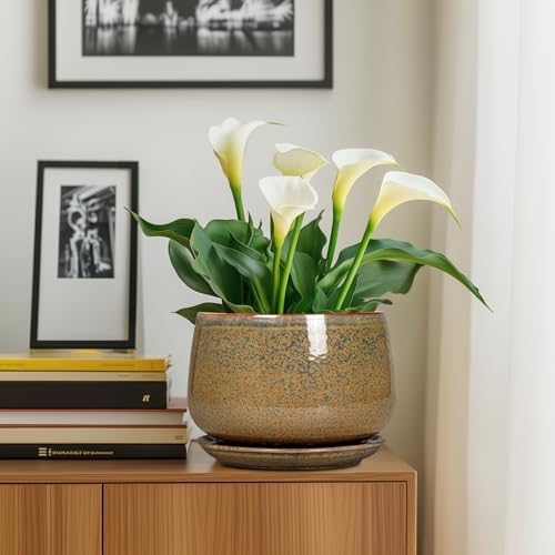 G EPGardening Ceramic Planters - 9 Inch Ceramic Pots for Plants Indoor Outdoor, Round Planter with Drainage and Saucer, Modern Indoor Flower Pots, House Room Decor, Gift for Women Men, Speckled Brown - Image 7