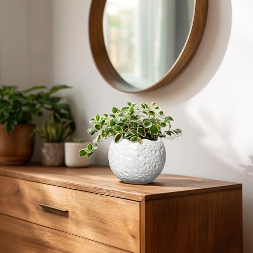 4 Inch Plant Pots - Ceramic Pots for Plants with Drainage Hole, Small Planter for Indoor Outdoor, Unique Succulent Pot, Decorative Modern Round Planter, Desk Decor, Plant Lover Gifts, White - Image 7