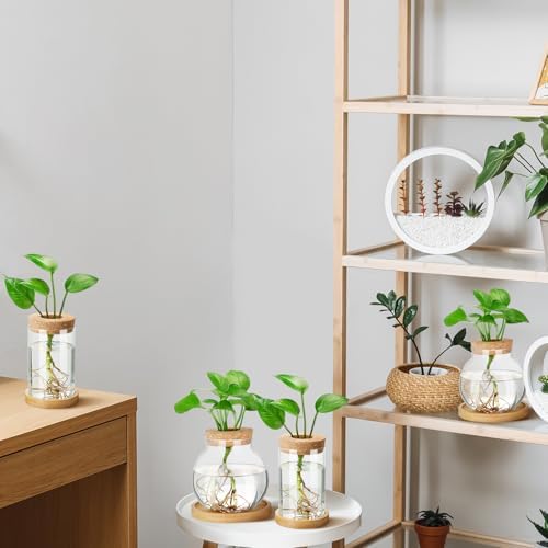 Layhit 4 Pcs Plants Propagation Stations vases Glass Planters with Wooden Lid and Bamboo Stand for Hydroponic Plants Gardening Gifts for Women Mom Home Office Tabletop Decoration(Funny Style) - Image 6