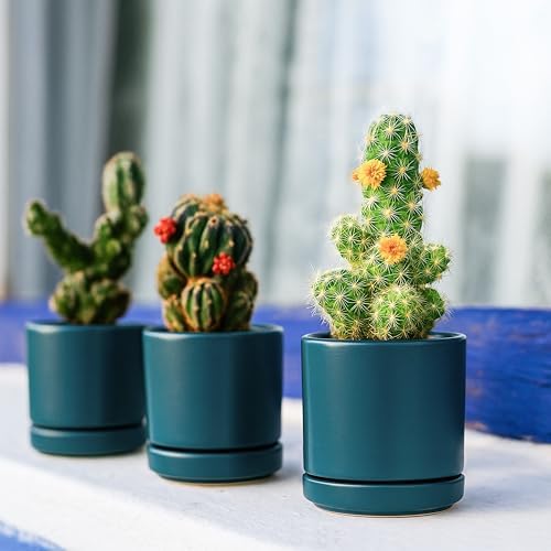 D'vine Dev 3.5 Inch Ceramic Planter Pot, Teal, 94-O-A-9 - Image 6