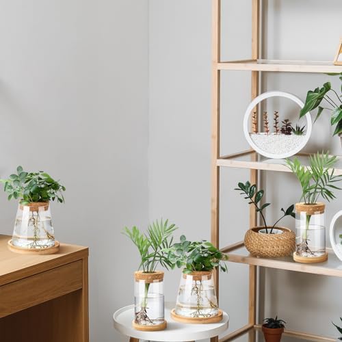 Layhit 4 Pcs Plants Propagation Stations vases Glass Planters with Wooden Lid and Bamboo Stand for Hydroponic Plants Gardening Gifts for Women Mom Home Office Tabletop Decoration(Stylish Style) - Image 6