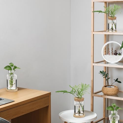 Layhit 4 Pcs Plants Propagation Stations vases Glass Planters with Wooden Lid and Bamboo Stand for Hydroponic Plants Gardening Gifts for Women Mom Home Office Tabletop Decoration(Wide Mouth Style) - Image 6