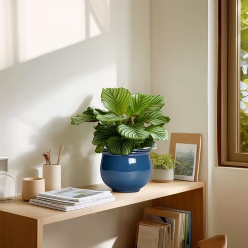 African Violet Pots, 6 Inch Ceramic Easy Self Watering Pots for Indoor Plant, Round Self Watering Planter with Absorbent Inner Pot, Ceramic Flower Pot, Room Decor, Plant Lover Gift, Retro Blue - Image 7