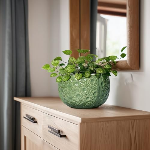 8 Inch Plant Pot - Ceramic Pots for Plants with Drainage Hole, Round Decorative Plant Pots for Indoor Outdoor, Modern Unique Flower Pot, Office Decor, Garden Gifts, Green - Image 7