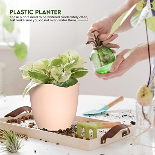 Plant Pots Indoor with Drainage, 5 Pack Multi-Size Planters Set, Pink - Image 6
