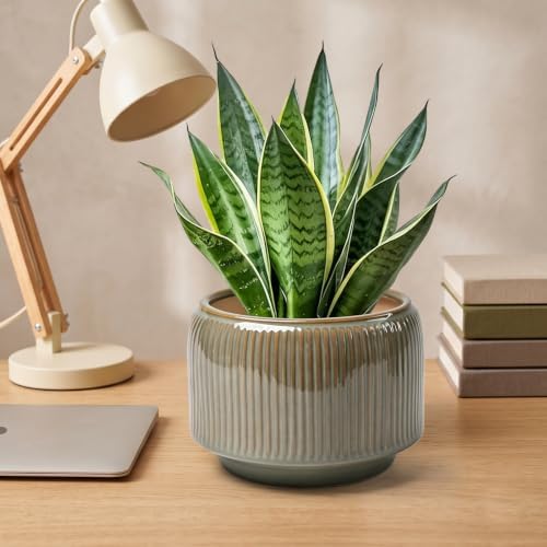 6 Inch Ceramic Plant Pots Set of 2 with Drainage Hole for Indoor Plants - Image 7