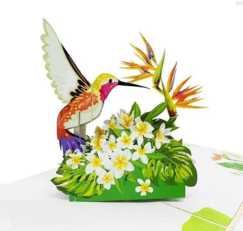 ETA 3D Floral Hummingbird Pop Up Card, Birthday Card, Thank You Card, Mother's Day Card, Nature Card, Congratulate with 3D Bird, Laser Cut, Handmade in Vietnam, 5.9 in x 5.9 in