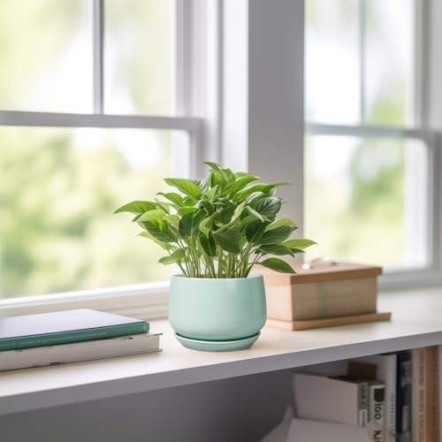 G EPGardening Ceramic Plants Pots - 4 inch Plant Pots Indoor Outdoor, Small Succulent Planter with Drainage Hole & Tray, Modern Flower Pot, Round Decorative Planters, Office Decor, Garden Gift, Green - Image 6