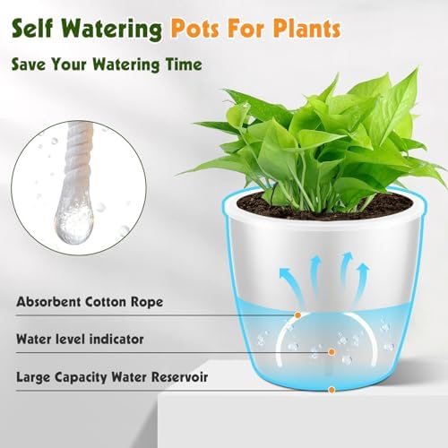 Self Watering Pots for Indoor Plants, 12-Pack 5'' Self Watering Planter with Drainage Holes, Small African Violet Pots with Water Level Indicator, Clear Wick Pot, White/Black - Image 6