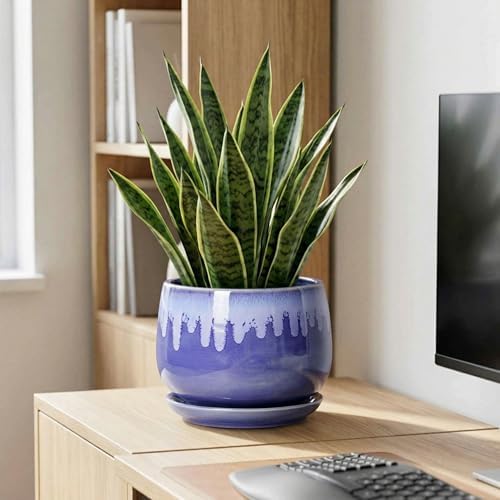 Ceramic Planter for Plants- 9 Inch Plant Pots Indoor with Drainage and Saucer, Decorative Planters, Durable Round Indoor Flower Pot, Garden Room Decor, Plant Gifts for Women Men, Blue - Image 7