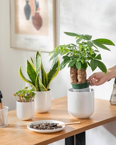 vancasso Ceramic Plant Pots, 4+5+6 inches, Set of 3, Planters with Drainage Hole, Flower Pots Planters Pots for Indoor Plants, Modern Indoor Decorative Garden Pot, Home Decor, White - Image 6
