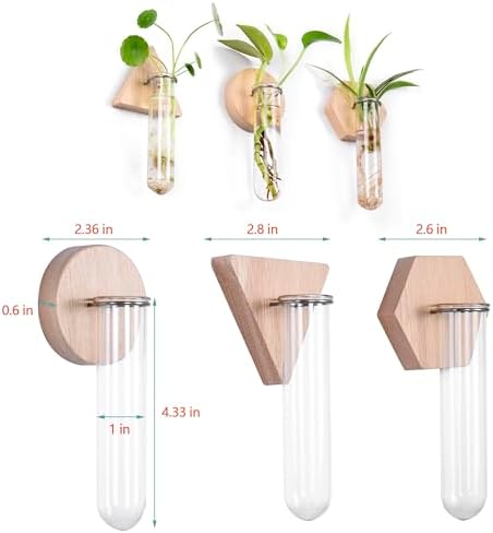 Wall Hanging Glass Planter Plant Propagation Station - Image 7