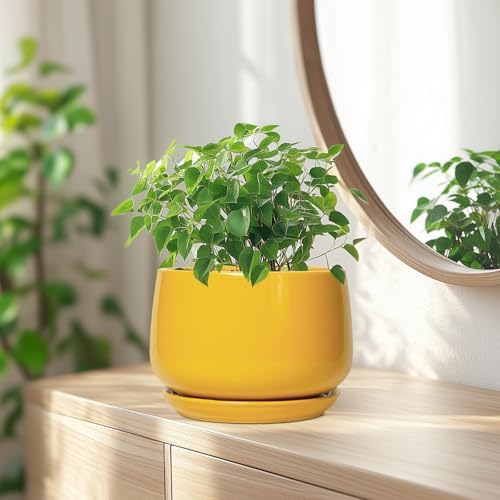 G EPGardening Ceramic Pots for Plants - 7 Inch Plant Pot with Drainage Hole and Saucer, Modern Ceramic Planter for Indoor Outdoor, Round Flower Planter, Gifts for Plants Lovers, Home Decor, Yellow - Image 6