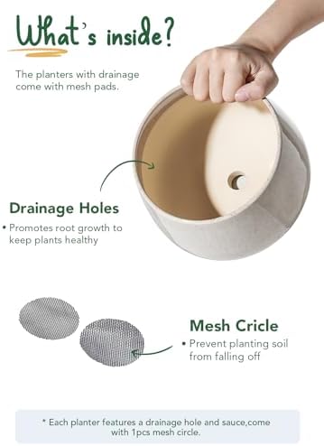 LE TAUCI Plant Pots, 4.1+5.1+6.5 inch, Set of 3, Ceramic Planters with Drainage Hole and Saucer, Indoor Flower Pot with Hole Mesh Pad, Gifts for Mom, Reactive Glaze Beige - Image 6
