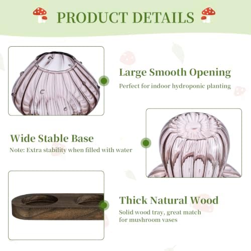 Glasseam 5 Pcs Mushroom Propagation Station: Glass Terrarium Jar for Plants - Image 6