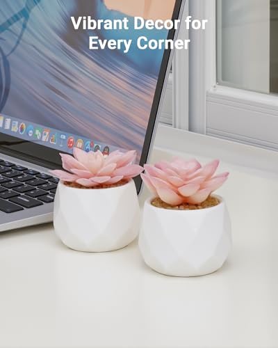 VIVERIE Mini Succulents Plants Artificial in Pots-Pink, Christmas Small Fake Succulents Plants for Home Decor Indoor for Women, White Ceramic Faux Succulents, Set of 2, Gifts for Mom - Image 7