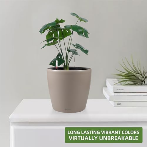 Dexceder 9x8 Self Watering Planter (Taupe Matte) - Image 6