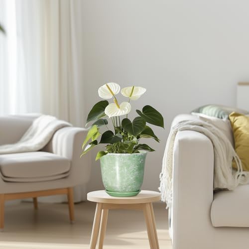 Ceramic Plant Pots - 5.6 Inch Plant Pot with Drainage Hole and Saucer, Round Orchid Succulent Pots for Indoor Outdoor, Small Modern Planter, Desk Window Room Decor, Green - Image 7