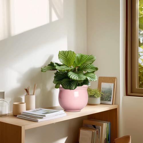 African Violet Pots, 6 Inch Ceramic Easy Self Watering Pots with Absorbent Inner Pot, Round Ceramic Planter for Indoor Plants, Small Flower Pot, Home Decor, Gifts for Plant Lovers, Pink - Image 7