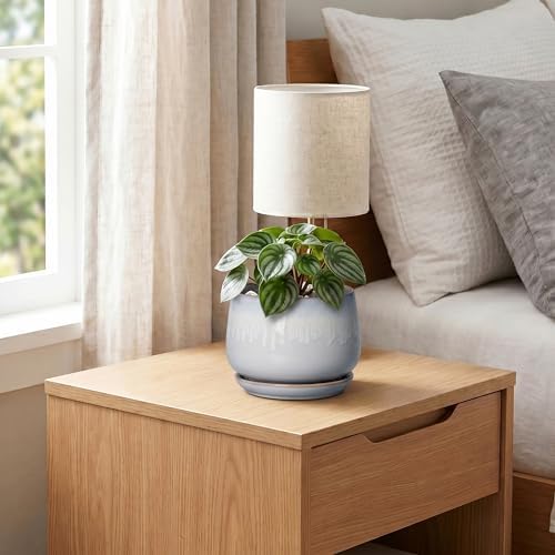 4 Inch Planter - Ceramic Plant Pots for Indoor Plants, Round Succulent Pots with Drainage and Saucer, Decorative Small Planter, Home Desktop Decor, Gardening Gifts for Women, Grey-White - Image 7
