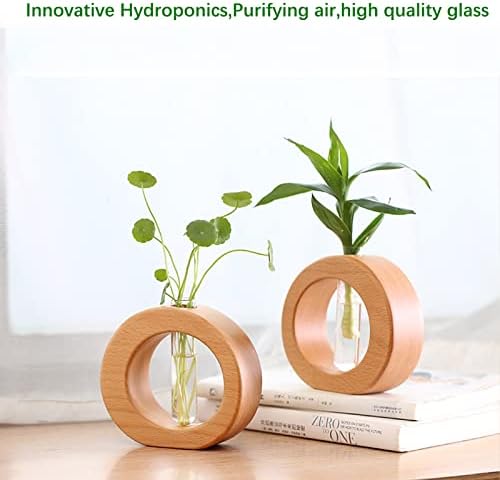 Test Tube Vase with Wooden Stand, Simple Design Fashion Hydroponics Glass Planter Holder for Hydroponic Plants Home Garden Decoration(#1) - Image 7