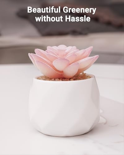 VIVERIE Mini Succulents Plants Artificial in Pots-Rose Pink, Christmas Small Fake Succulents Plants for Home Decor Indoor for Women, White Ceramic Faux Succulents, Set of 1, Gifts for Mom - Image 7