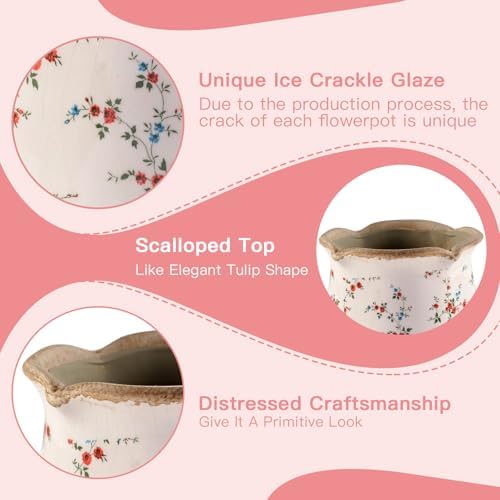 Ceramic-Planters-for-Indoor-Plants with Saucer, 6 inch Vintage Ice Crackle Glaze Plant Pots with Drainage Holes, Decorative Flower Pots for Outdoor Garden Home Decor, Tuscan Pot for Plant - Image 6