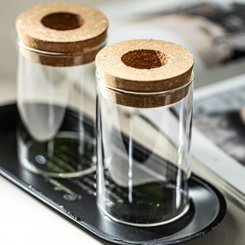 Separated Desktop Glass Flower Vases - Ideal Plants Propagation Stations for Living Room, Bedroom Decoration,Home Decor (4) - Image 6