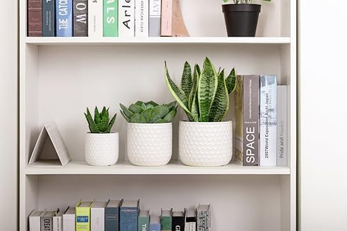 Docrin Plant Pots Indoor with Drainage: 6.4+5.3+4 Inch Ceramic Flower Pots for Plants - Set of 3 Modern Decorative Planters for House/Office/Gift - White Honeycomb - Image 6
